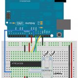 a03.optiLoader_bb-min.jpg