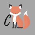시폭스_C