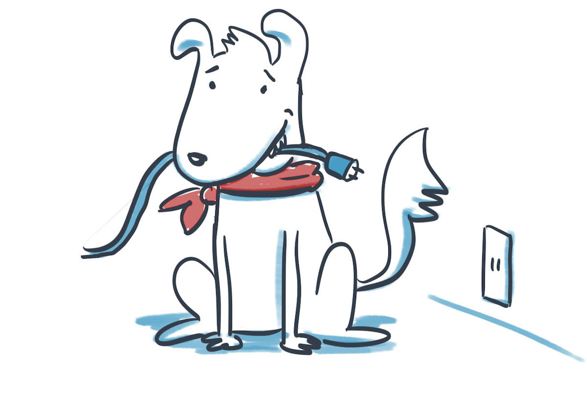 Dog with unplugged power lead