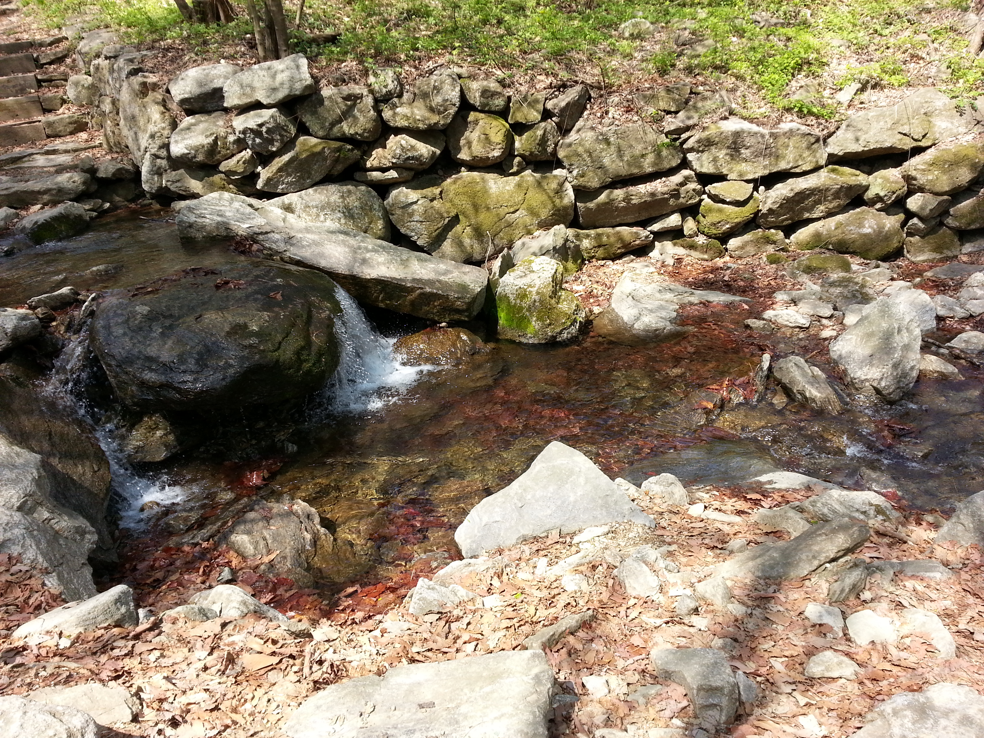 2013-04-30 10.59.30.jpg
