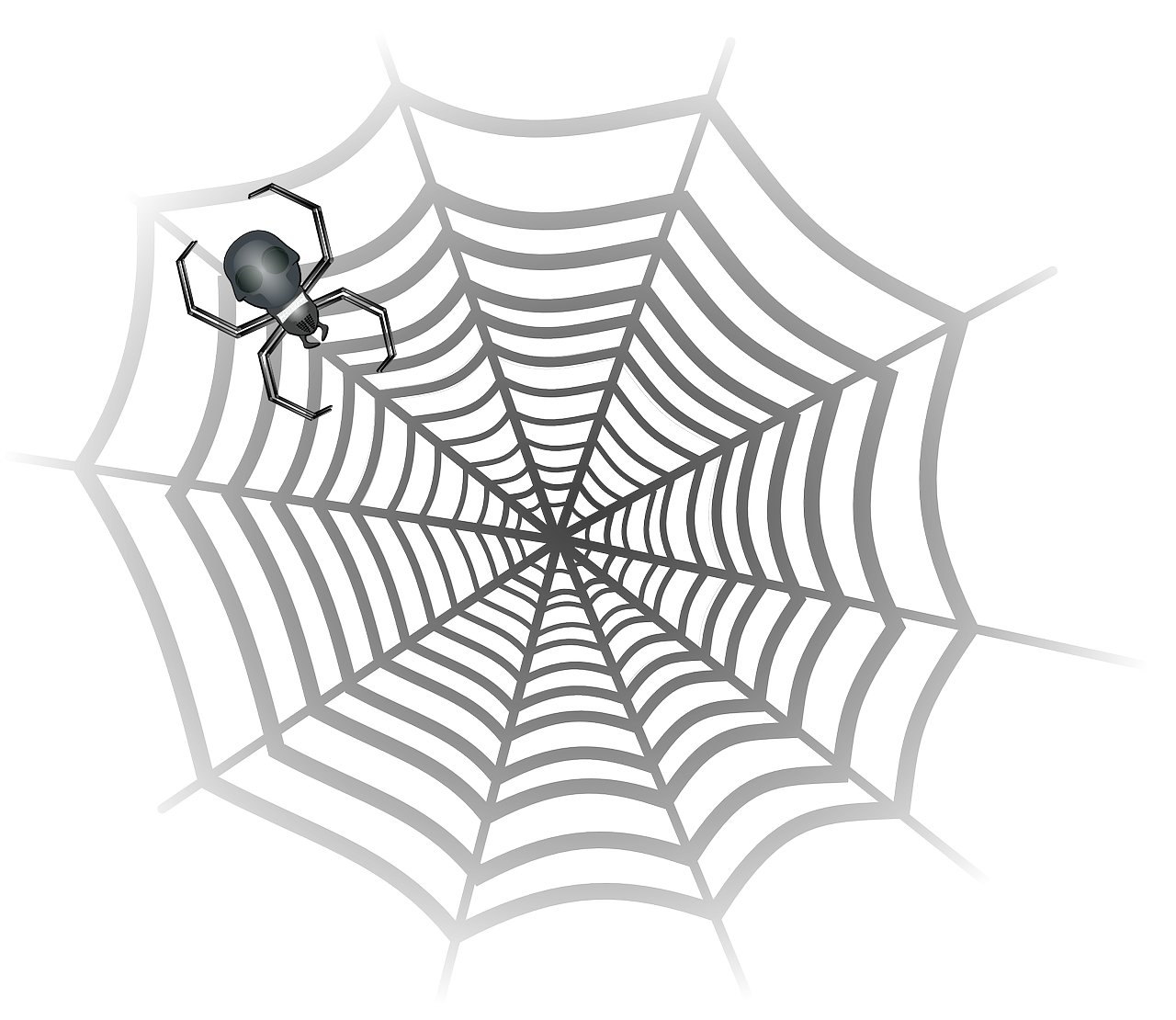 spider-161750_1280.png