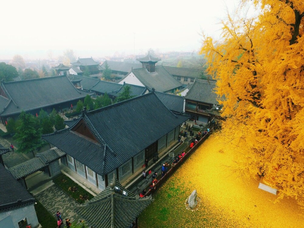 이미지를 클릭하시면 큰 사이즈로 확인하실 수 있습니다.