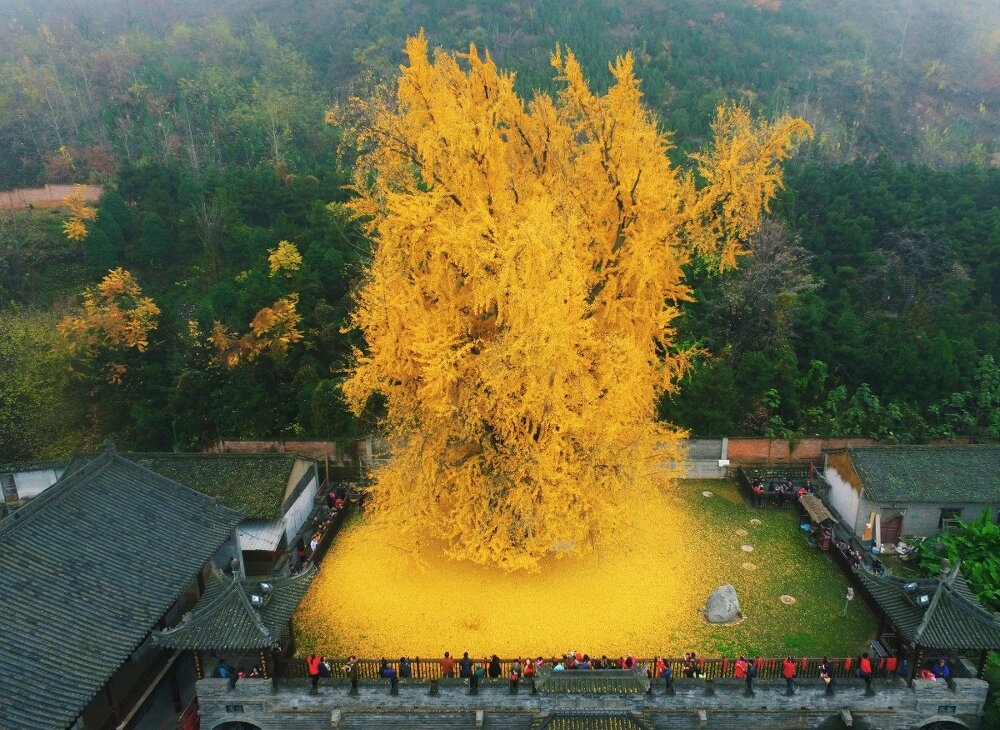 이미지를 클릭하시면 큰 사이즈로 확인하실 수 있습니다.