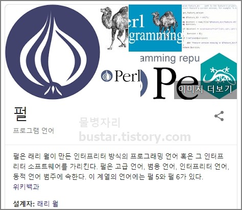 윈도우10에서 펄,perl 다운로드 및 설치후 버전 확인 까지 해보기