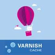 varnish1