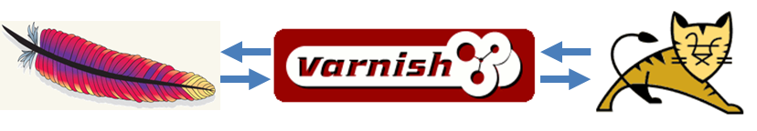 varnish4