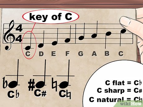 Read Music Step 17 이미지