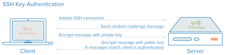 SSH-Auth