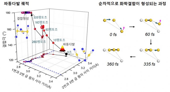 연구팀이 밝혀낸 금 원자가 분자로 결합하는 과정이다. 과학기술정보통신부 제공