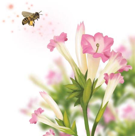 2015051103635_1.jpg