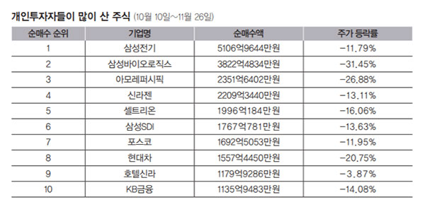개인투자자들이 많이 산 주식 (10월 10일~11월 26일)