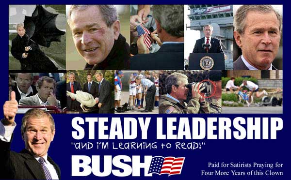 bush_steady