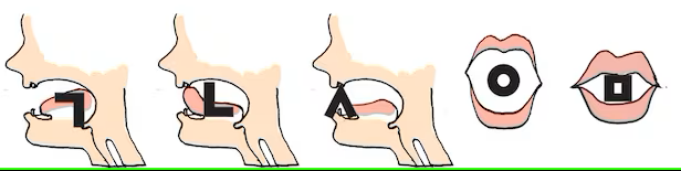 03 VPVKS23V2VDOTHBUSLR7TF3W5Y.png