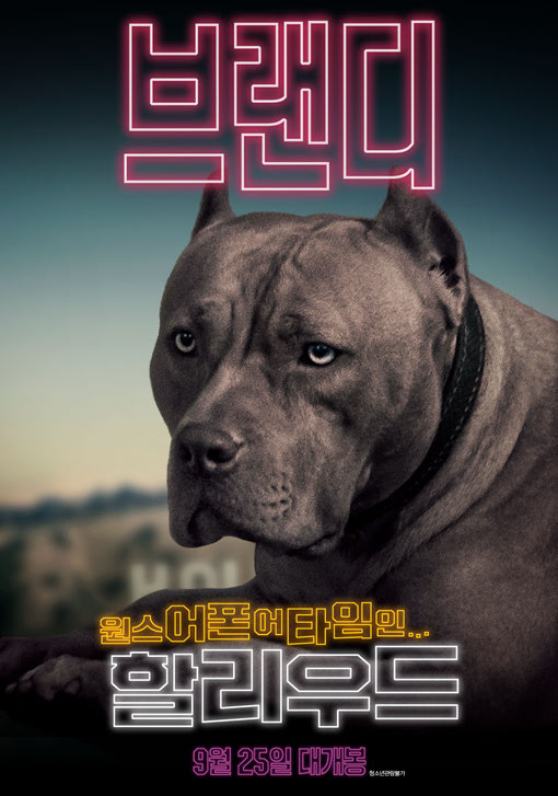 원스 어폰 타임 인 할리우드 2019 01.jpg