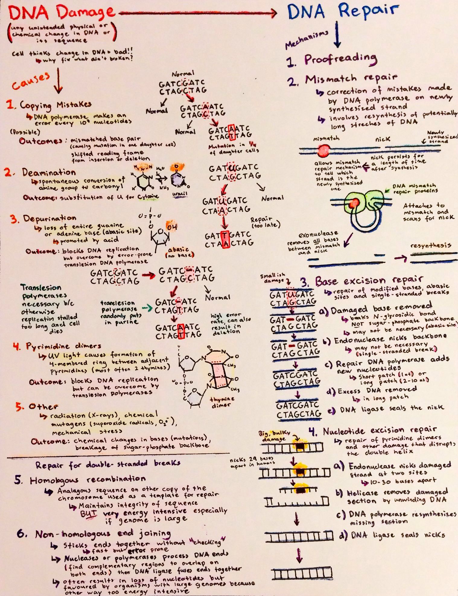 flowcharts-p4.jpg