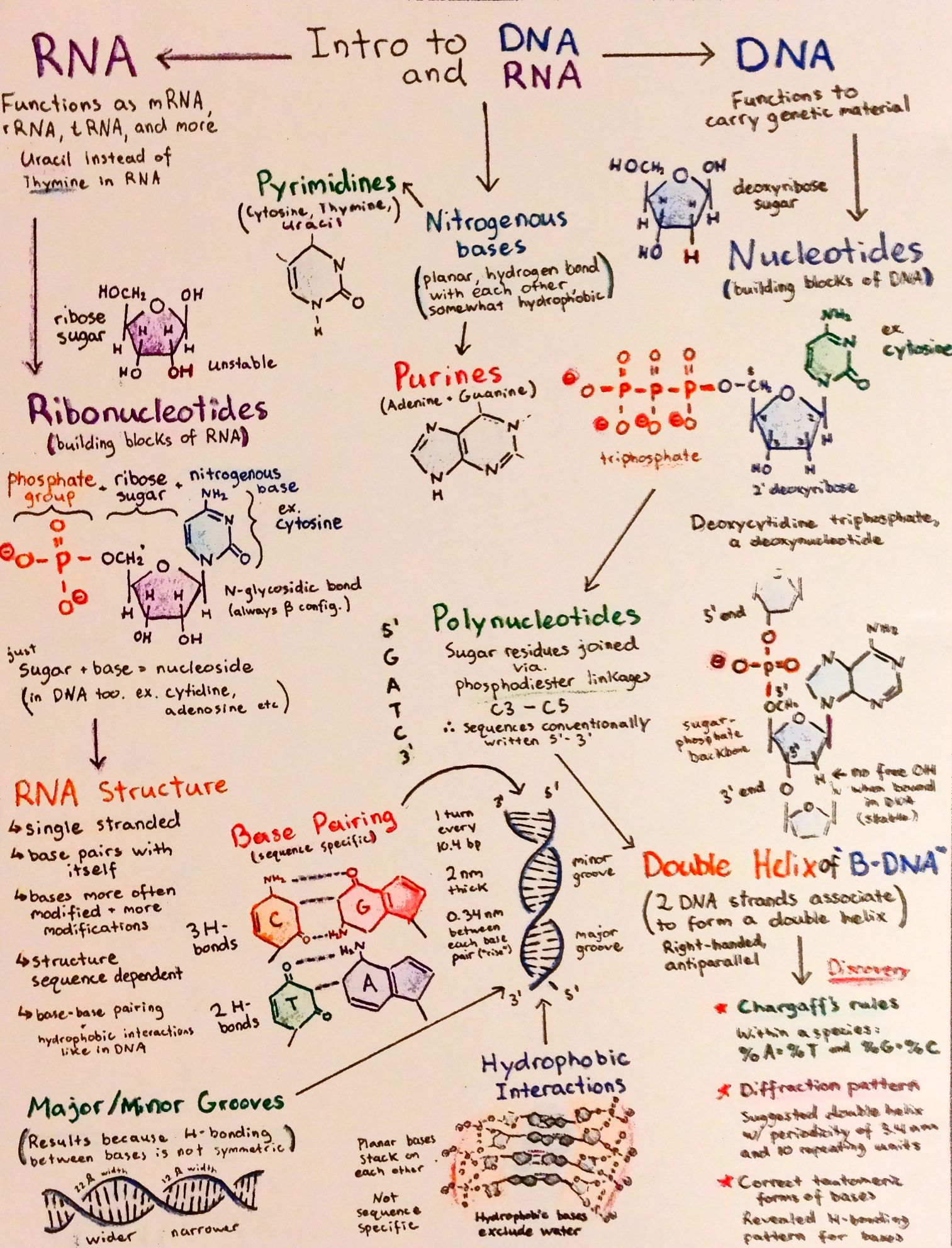 flowcharts-p1.jpg
