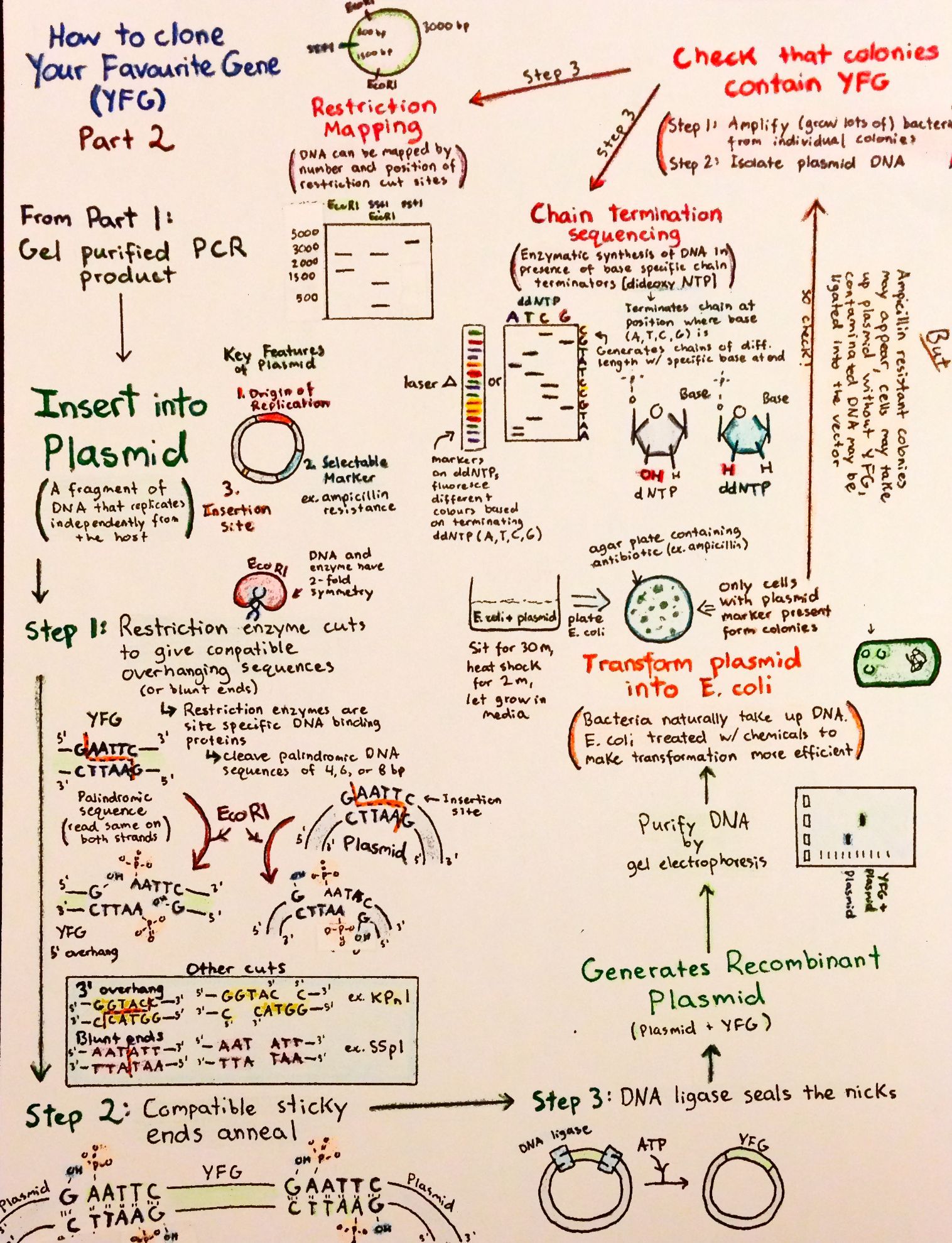 flowcharts-p8.jpg