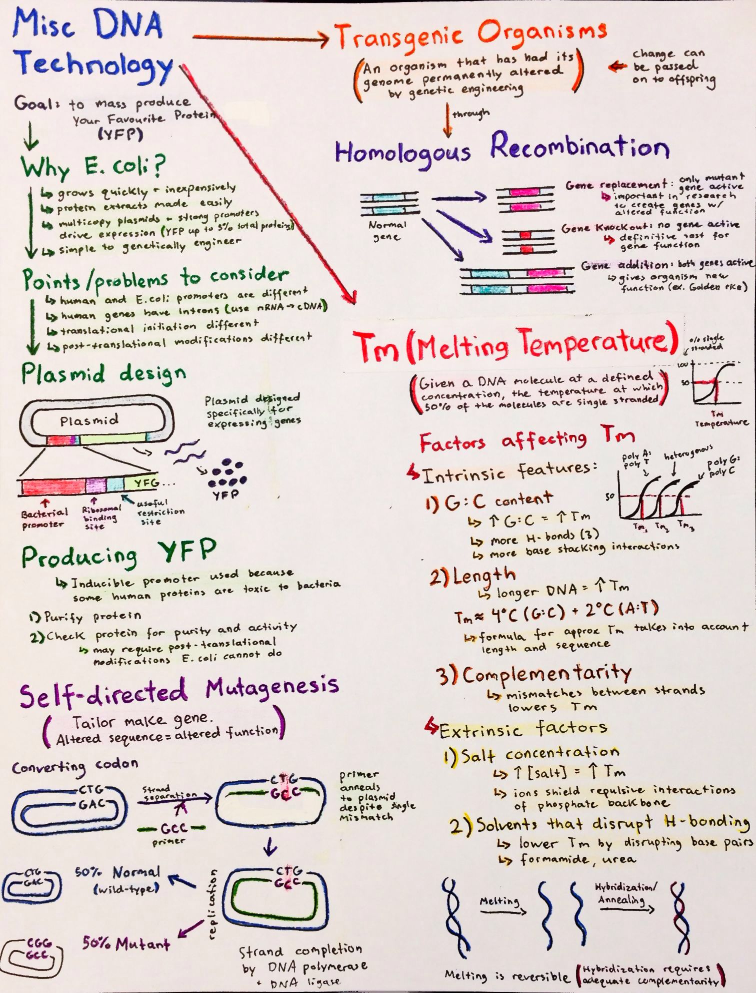 flowcharts-p9.jpg