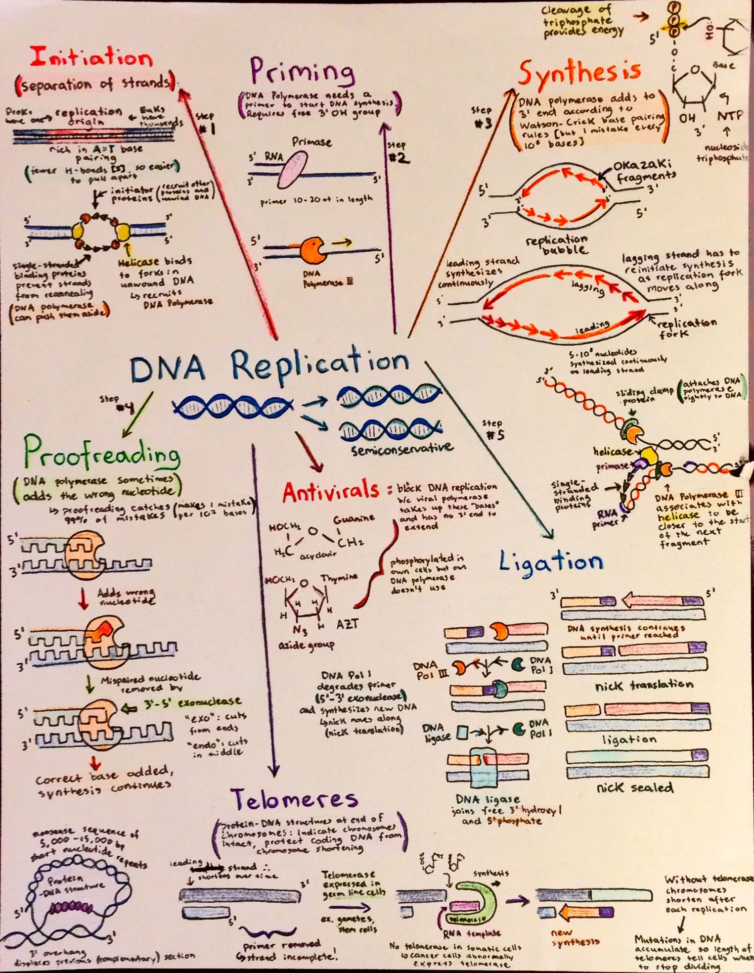 flowcharts-p3.jpg