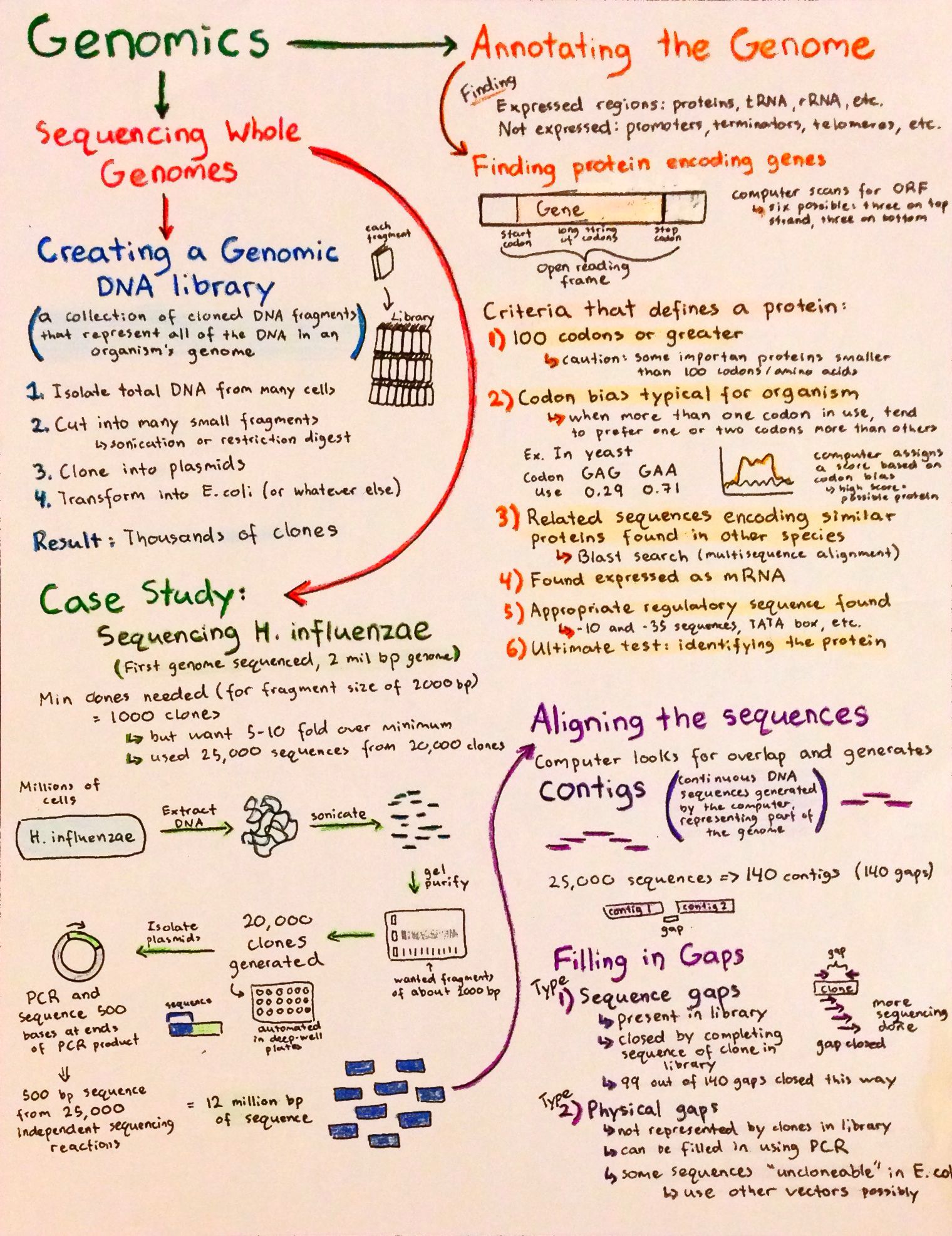 flowcharts-p10.jpg