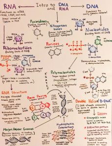 Flowcharts-p1