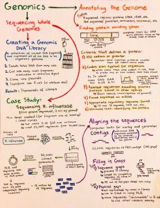 Intro to Genomics