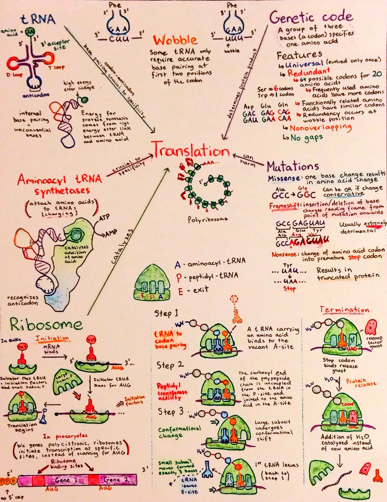 flowcharts-p6.jpg