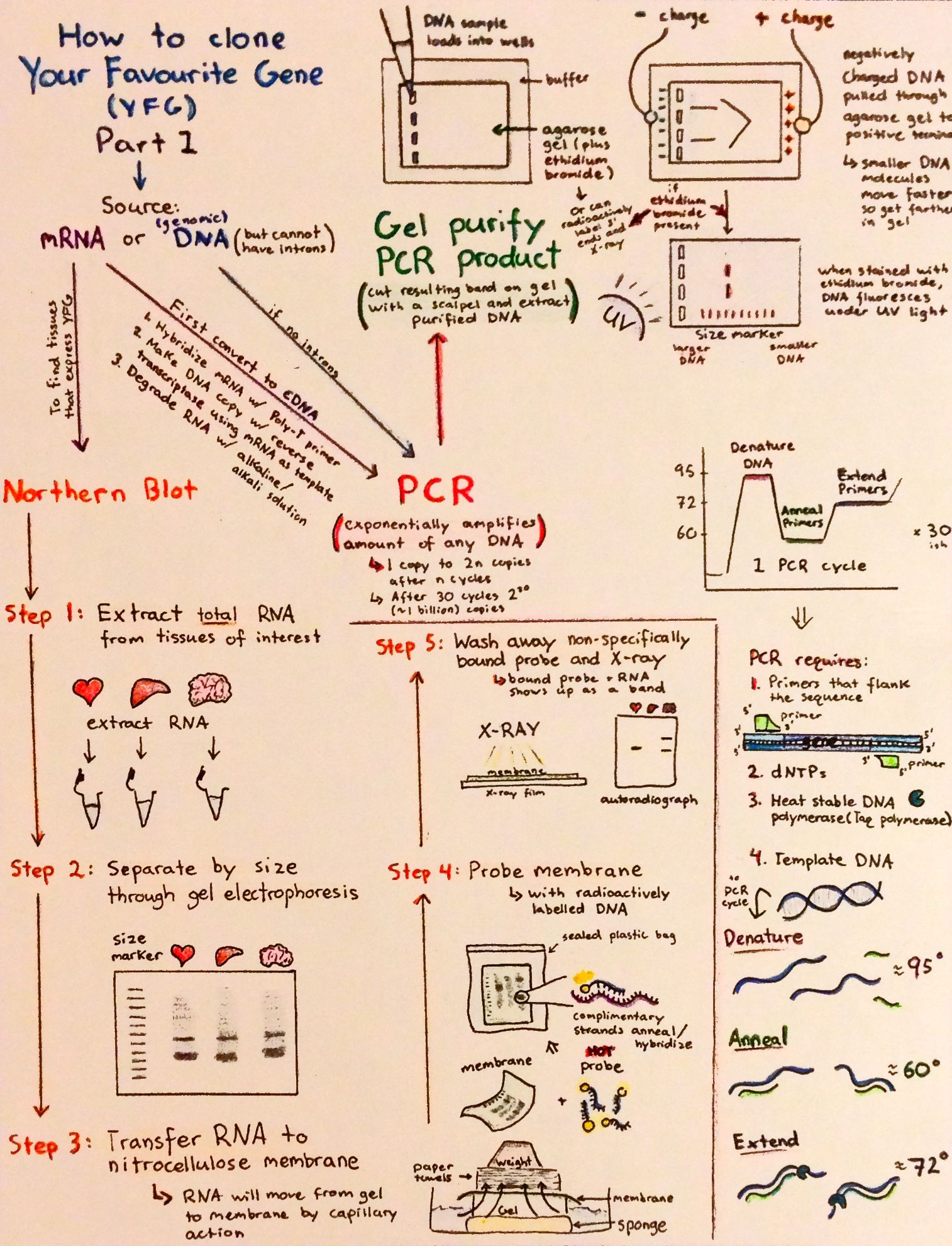 flowcharts-p7.jpg