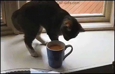 1hosEq.gif