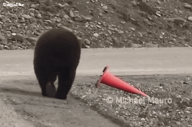 4684152_1_16183833551058380.gif