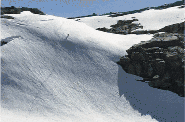 4448547_1_16029012088165616.gif
