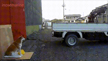 OAIYx.gif
