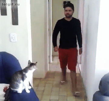 39uX9a.gif