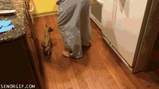 13YUVg.gif