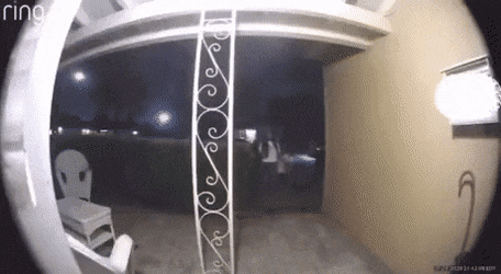 4510143_VKqYETJ0IW_1606937359165.gif