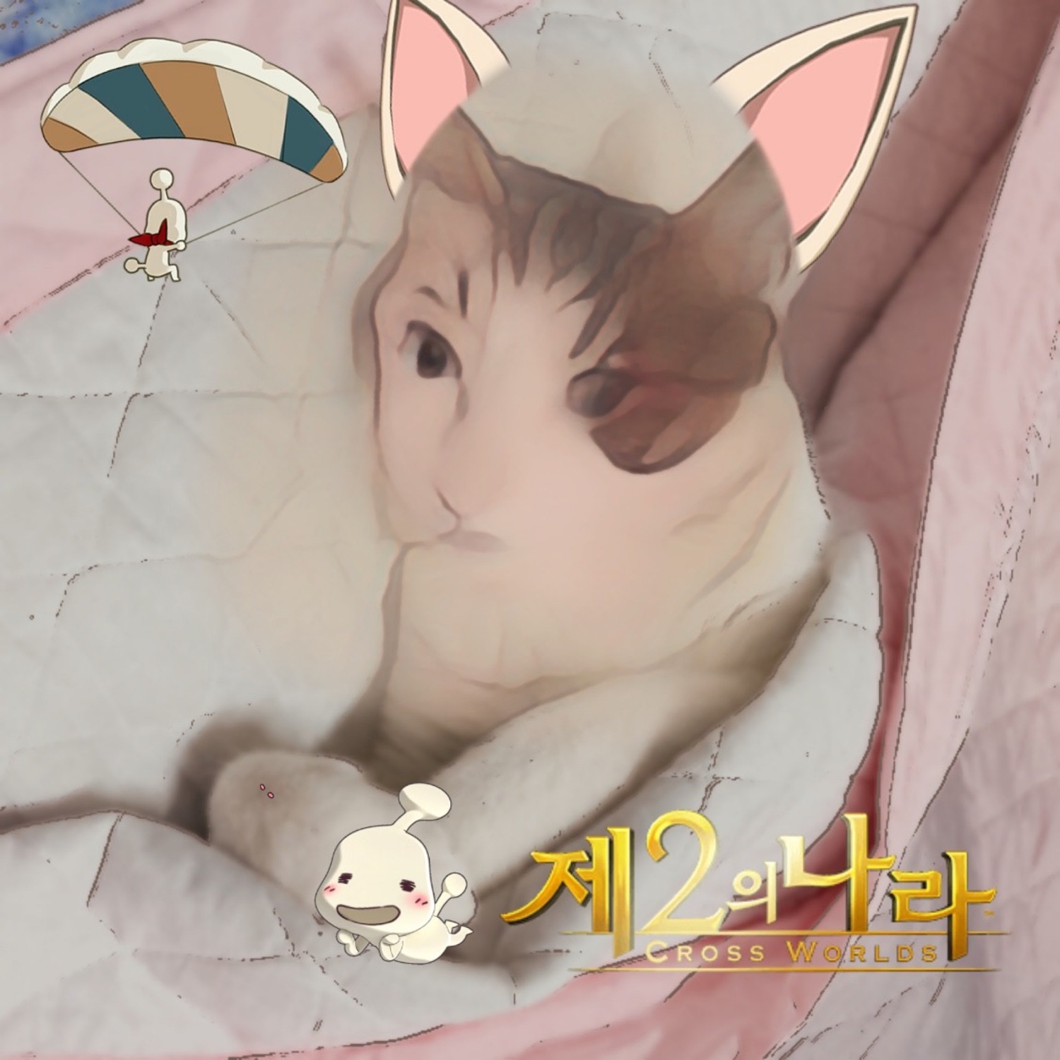 이미지를 클릭하시면 큰 사이즈로 확인하실 수 있습니다.