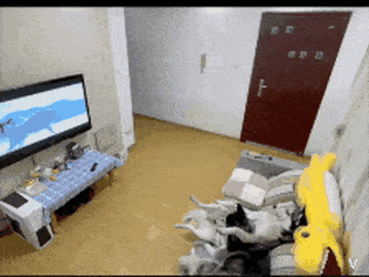 4561365_R8j4BWIokM_1609355895712.gif