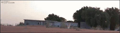 4453595_R5uARyzzcl_1603320081913.gif