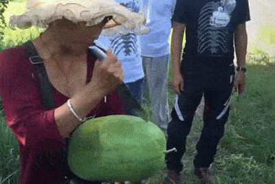 4617902_wJ43ZKEqnb_1612985033525.gif