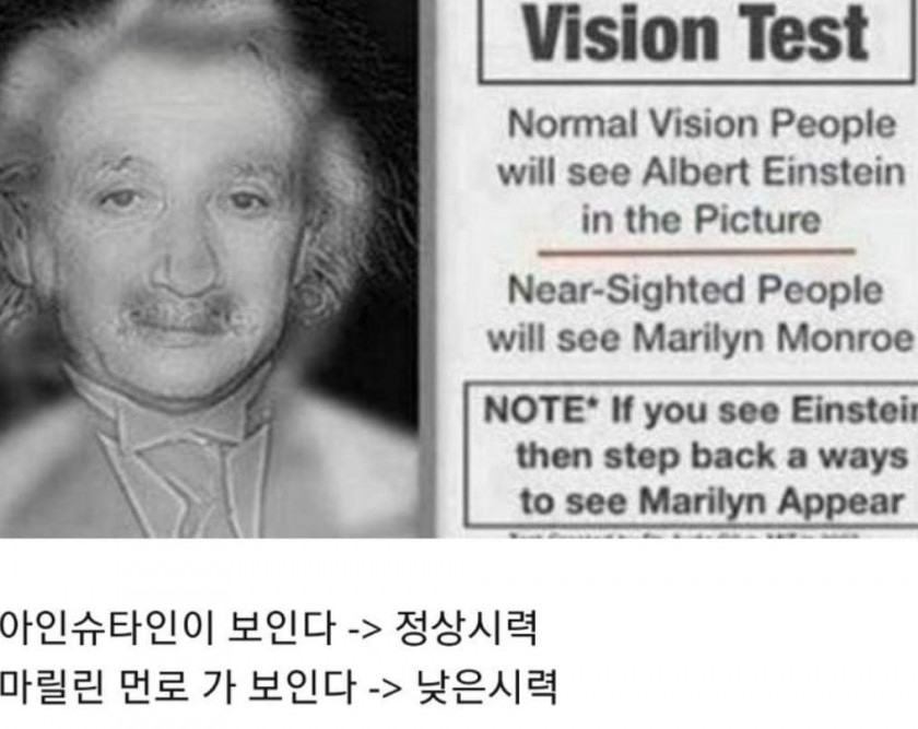 이미지를 클릭하시면 큰 사이즈로 확인하실 수 있습니다.