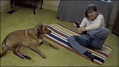 3leyjf.gif
