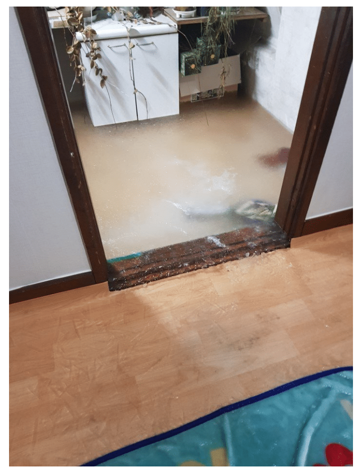 이미지를 클릭하시면 큰 사이즈로 확인하실 수 있습니다.