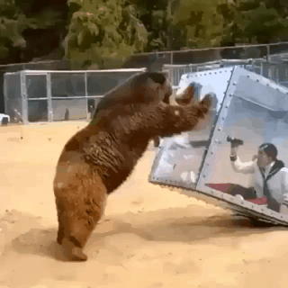 3gnrR8.gif