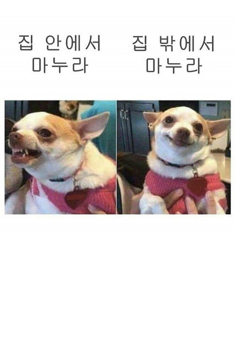 2MPeMG.jpg