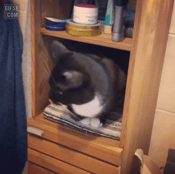 1620341833.gif