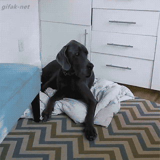 30q3Mc.gif
