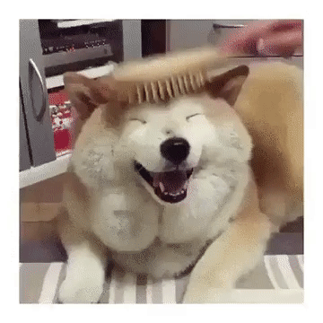 2rzNvl.gif