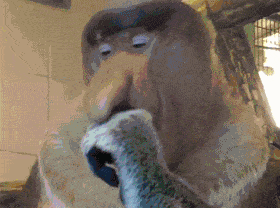 3cPbzu.gif
