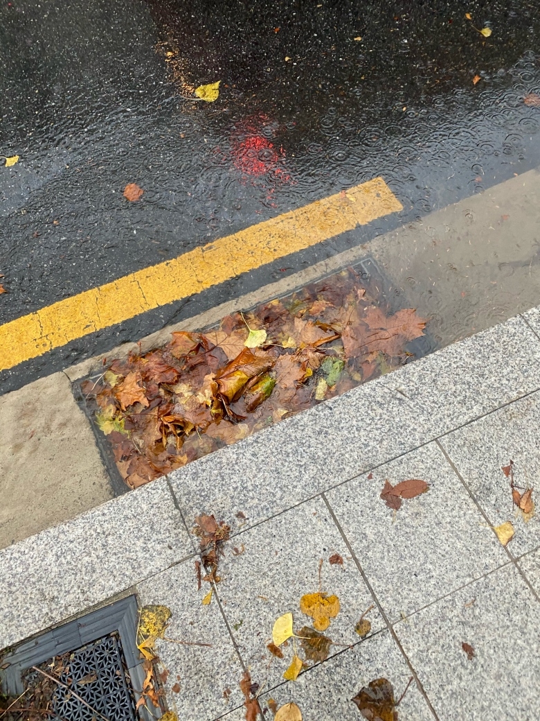 이미지를 클릭하시면 큰 사이즈로 확인하실 수 있습니다.