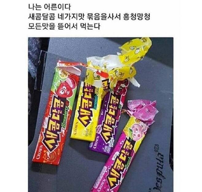 첨부이미지